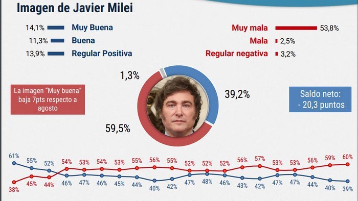 Milei ante una dramática caída de su imagen 