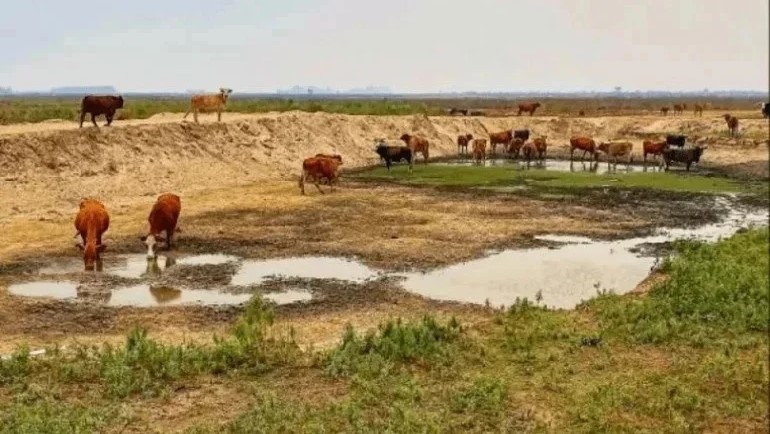 El campo judicializó el pago del bono de $60.000