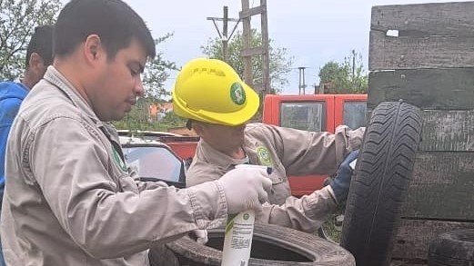 Dengue: advierten sobre la presencia de “criaderos y larvas del Aedes” en viviendas