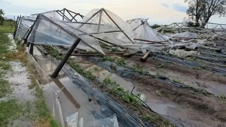 Los da&ntilde;os por el temporal afectaron a unos 50 productores hort&iacute;colas y tabacaleros