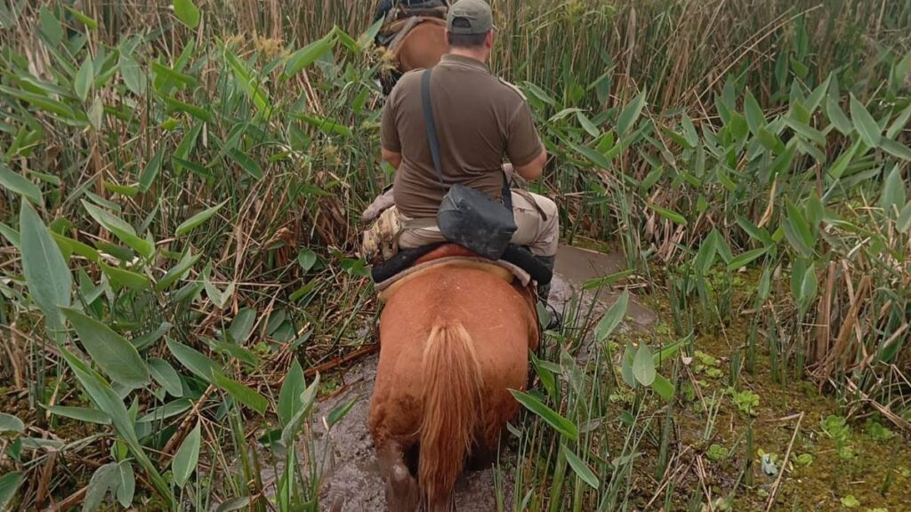 A caballo, en una zona inh&oacute;spita y sin se&ntilde;al: c&oacute;mo y d&oacute;nde encontraron el cuerpo de Nancy Godoy