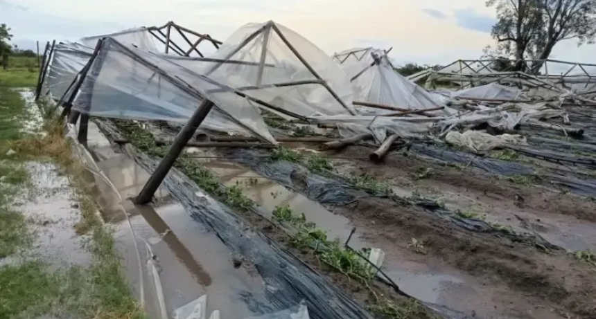 Los da&ntilde;os por el temporal afectaron a unos 50 productores hort&iacute;colas y tabacaleros
