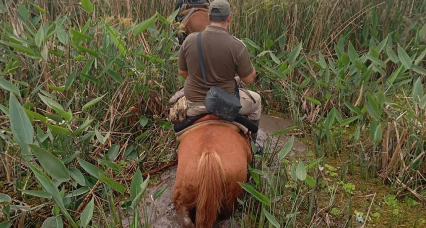 A caballo, en una zona inh&oacute;spita y sin se&ntilde;al: c&oacute;mo y d&oacute;nde encontraron el cuerpo de Nancy Godoy