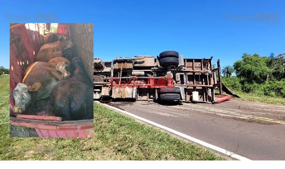 Corrientes: Impactantes imágenes del vuelco de un camión que transportaba ganado