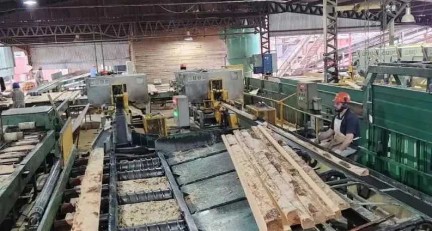 Preocupa la caída del consumo de la madera en el sector forestoindustrial