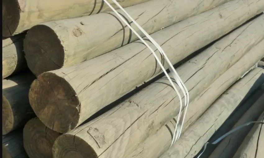 Un trabajador murió aplastado por un rollizo de eucalipto en un aserradero de Corrientes